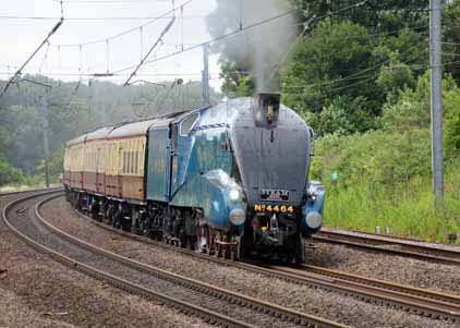 Purchase photo of 4464 BITTERN at Welham Green